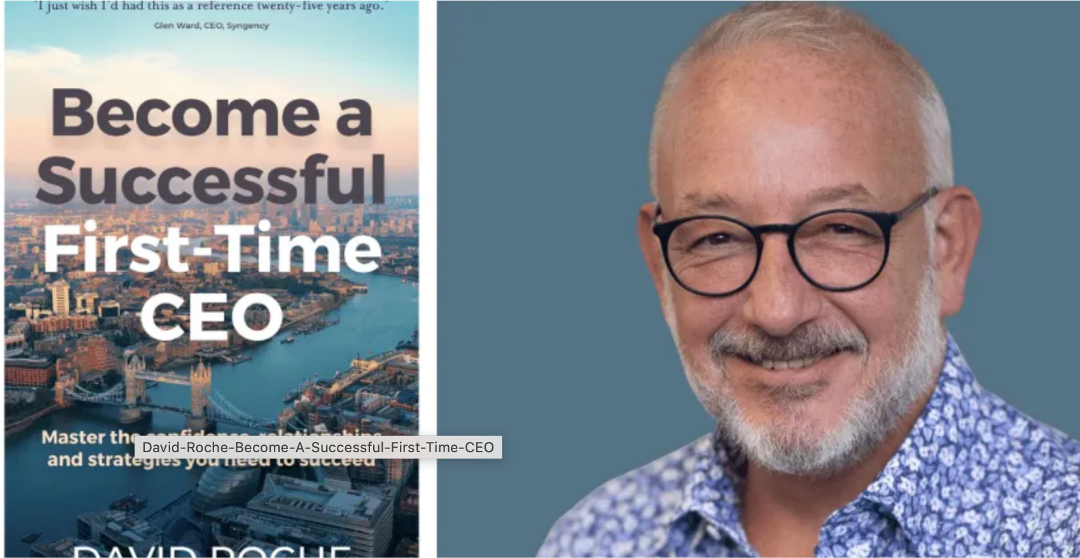 Become a Successful First-Time CEO: Master the confidence, relationships and strategies you need to succeed