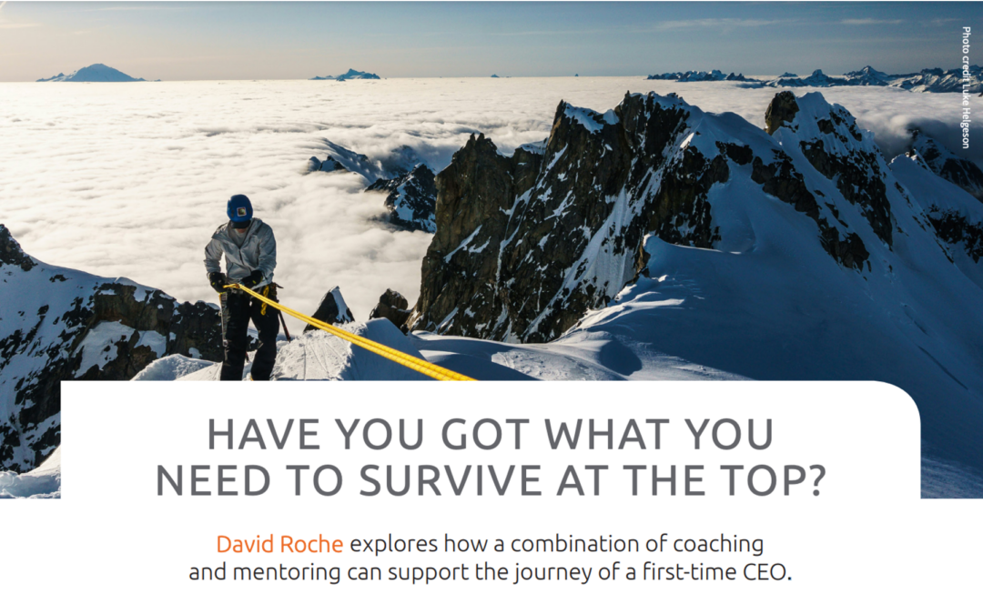 Have You Got What You Need To Survive At The Top?